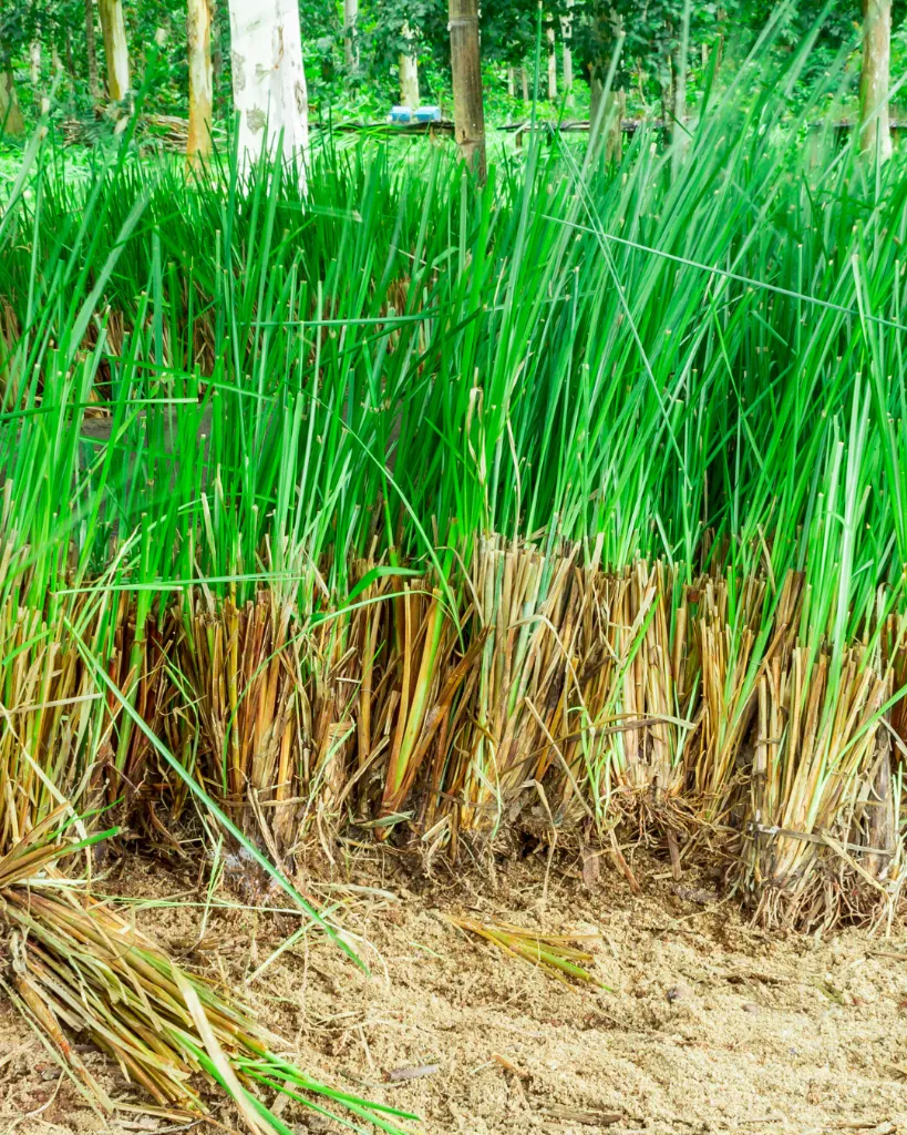 Liste de produits .pdf (2).webp