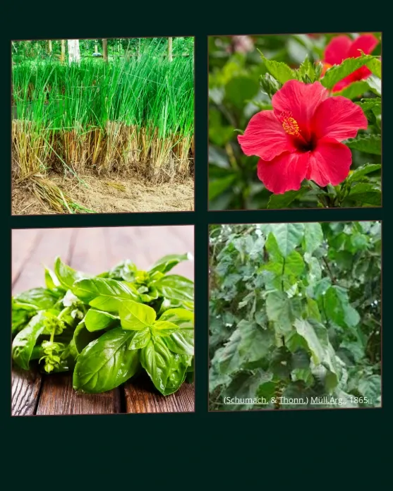 Liste de produits .pdf (3).webp