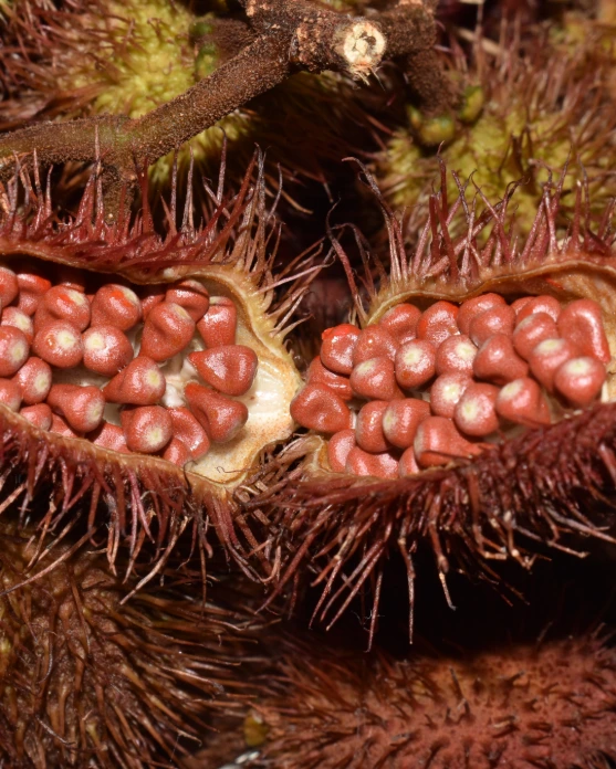 Liste de produits .pdf (3).webp